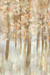 Sanftes Herbstlicht