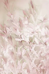 Sanfte Rosa Botanicals