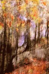 Lebendiger Herbstwald