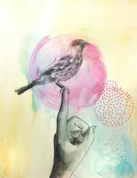 Rosa Vogel auf Finger