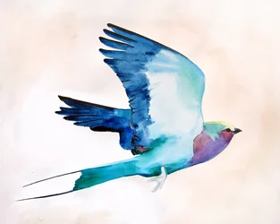 Lebhafter Vogel im Flug