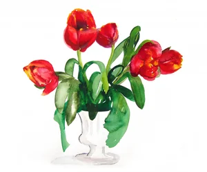 Lebendige Rote Tulpen