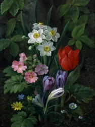Gartenblumen im Frühling (darunter Gänseblümchen, Tulpen, Narzissen, Krokusse und Primeln). Gemälde von Christine Marie Lovmand (1803-1872)
