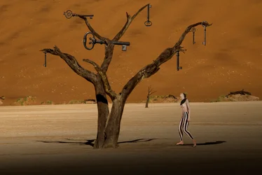 Surrealer Wüstenschlüsselbaum