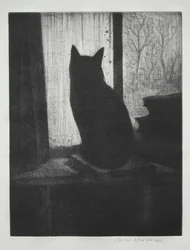 Die Katze