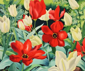 Frühe Tulpen
