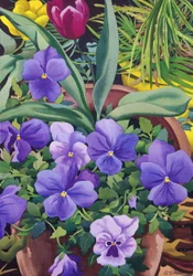 Blumentöpfe mit Stiefmütterchen, 2007