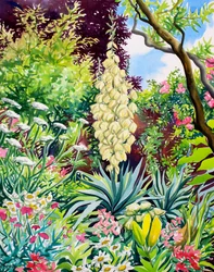 Garten mit blühender Yucca