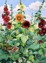 Stockrosen und Sonnenblumen