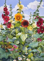 Stockrosen und Sonnenblumen, 2003
