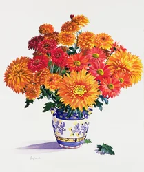 Oktober-Chrysanthemen