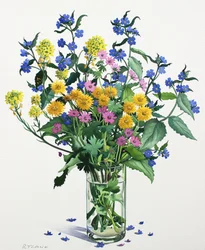 Wildblumen mit Alkanet, 2021