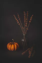 Dunkles herbstliches Stillleben