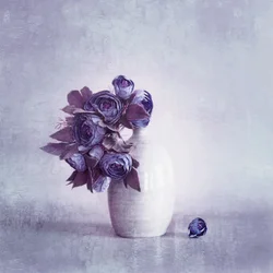 Zarte violette Blüten