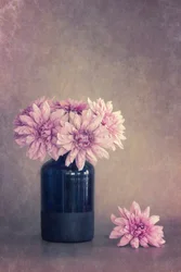 Zartrosa Blumenstillleben