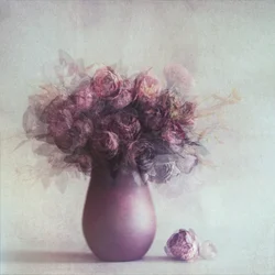 Gedeckte florale Anmut