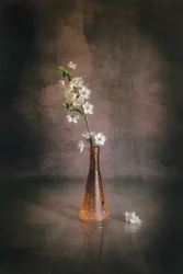 Vase mit weißen Kirschblüten