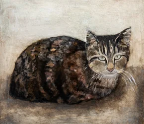 Neugierige Tabby-Katze