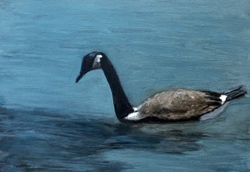 Gans auf ruhigem Wasser