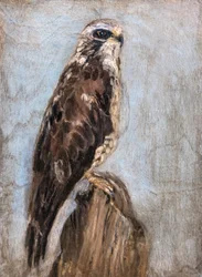 Majestätischer Falke auf Zweig