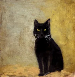 Pua-Katze