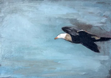 Albatros im Himmel