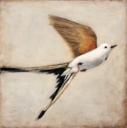Weißer Vogel im Flug
