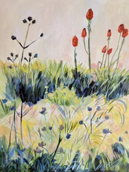 Bunte Sommerwildblumen