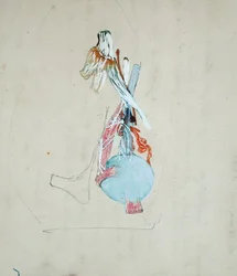 Nervensystem im Kopf einer Katze, 25. Mai 1842