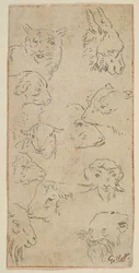 Studie von Tierköpfen