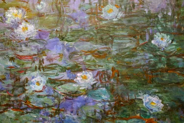 Blaue Seerosen (Detail)