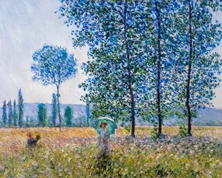 Felder im Frühling