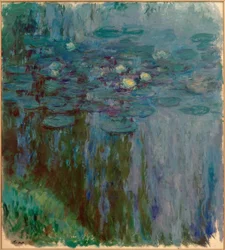 Seerosen
