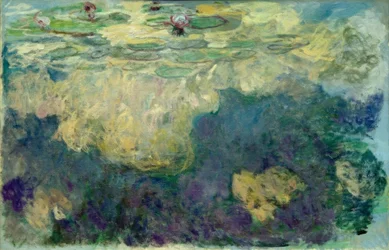 Seerosen
