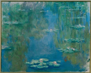 Seerosen
