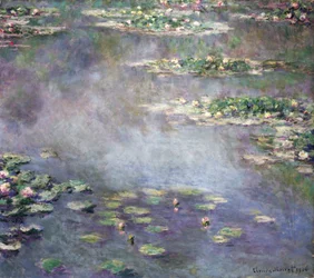 Seerosen, 1906