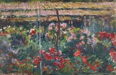 Pfingstrosengarten