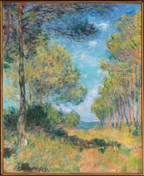 Kiefernweg in Varengeville, 1882