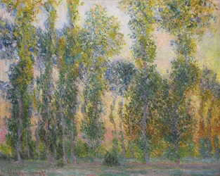 Pappeln in Giverny