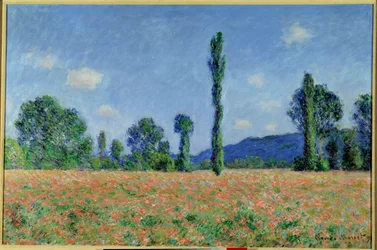 Mohnfeld, 1890
