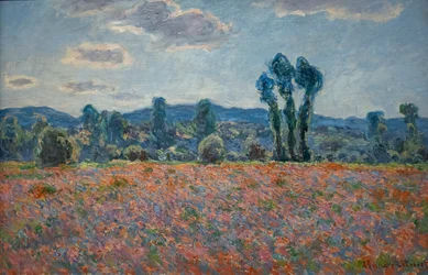Mohnfeld