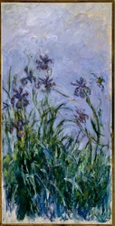 Violette Schwertlilien, 1914-17