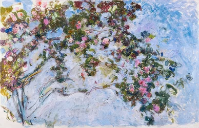 Rosen
