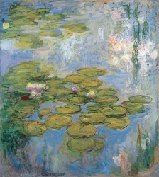Seerosen