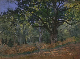 Die Bodmer-Eiche, Wald von Fontainebleau