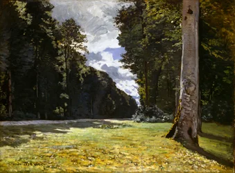 Die Chailly-Straße durch den Wald von Fontainebleau