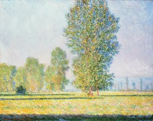 Die Wiese von Limetz