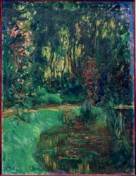 Eine Ecke des Teichs von Giverny