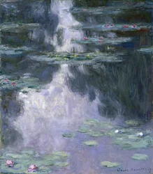 Seerosen (Nymphéas)