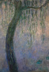 Seerosen